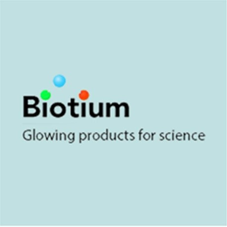 Mucin 3(M3.1), Biotin conjugate, 0.1mg/mL 100 uL