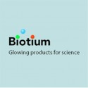 Mucin 3(M3.1), Biotin conjugate, 0.1mg/mL