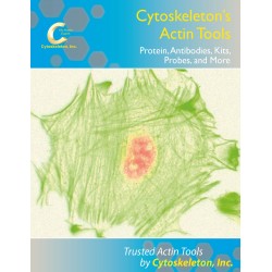 Cytoskeleton’s Actin Tools